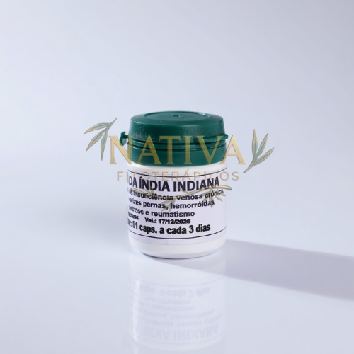 Castanha da Índia Indiana Original