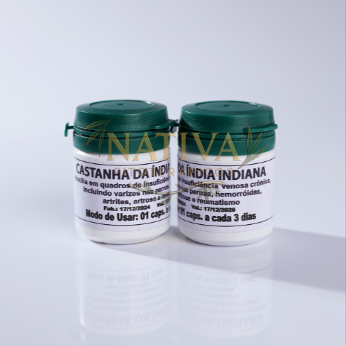 Castanha da Índia Indiana Original