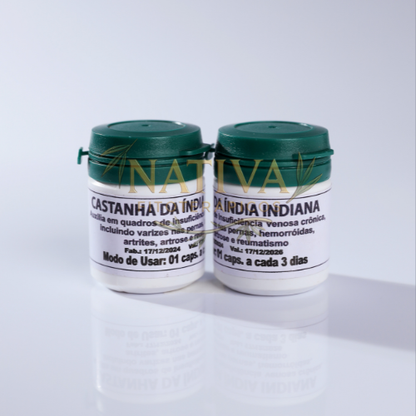 Castanha da Índia Indiana Original