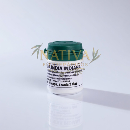 Castanha da Índia Indiana Original