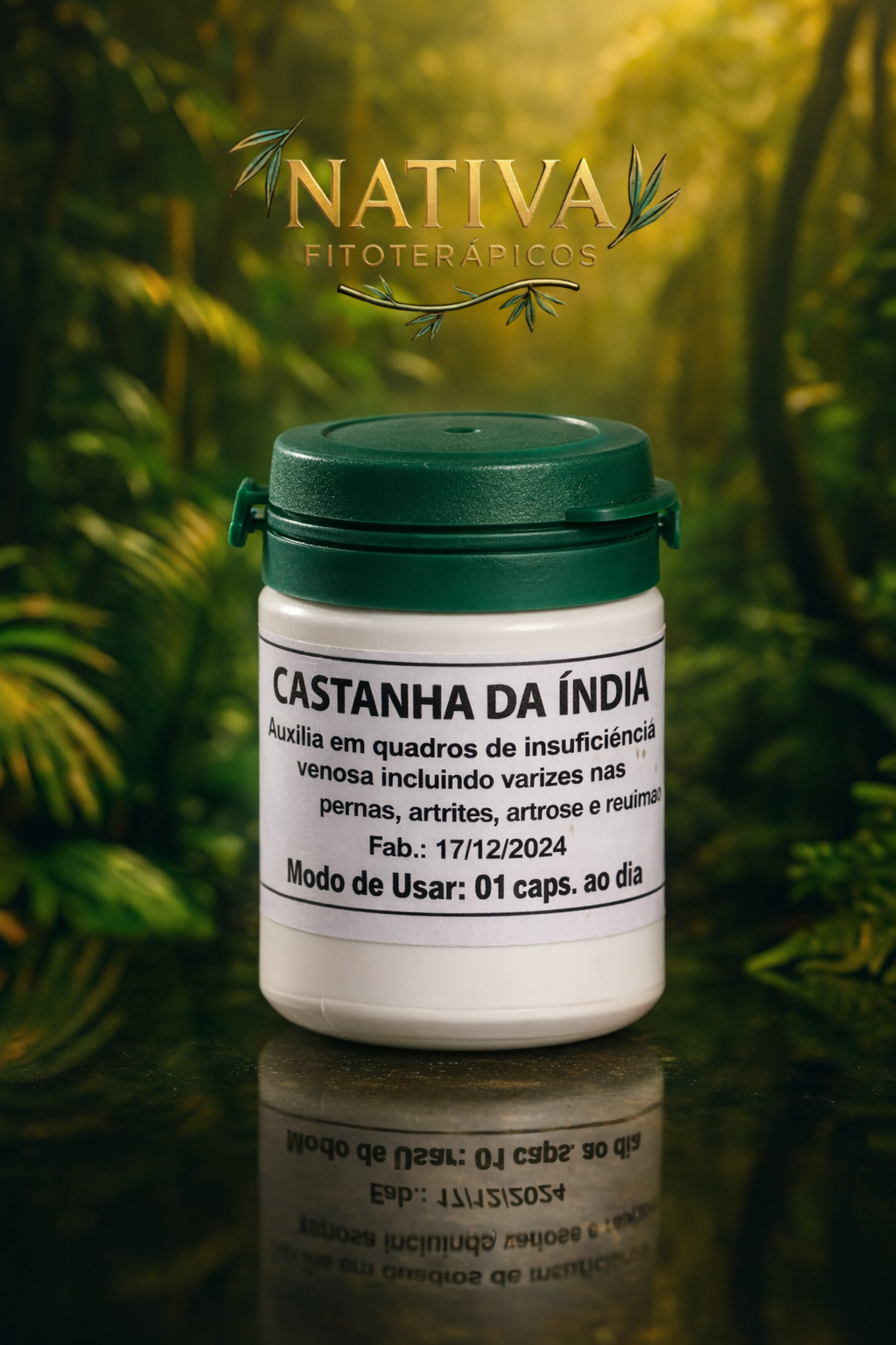 Castanha da Índia Indiana Original