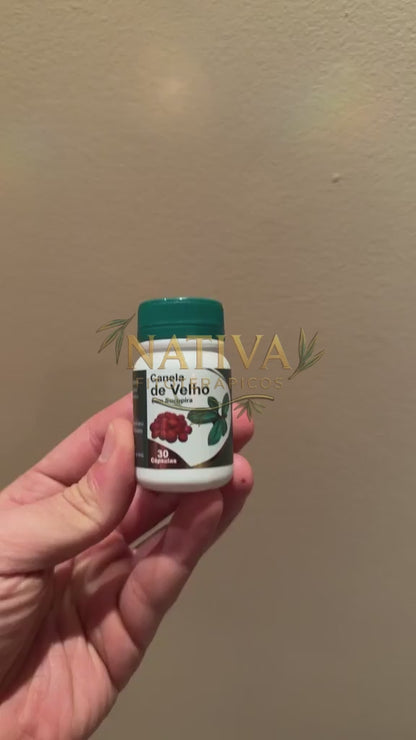 Canela de Velho com Sucupira Original